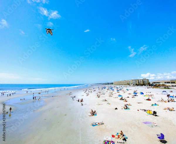 Fototapeta A view of Folly Beach with people on the beach and a seagull flying by | Folly beach, Folly Island, Charleston, South Carolina, USA 2018