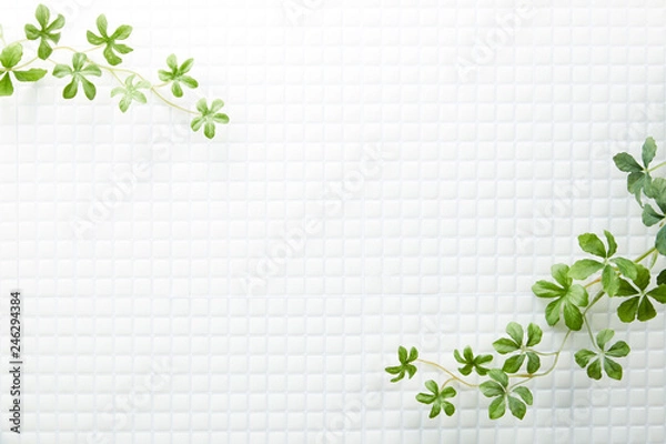 Obraz モザイクタイル-白-植物-真俯瞰