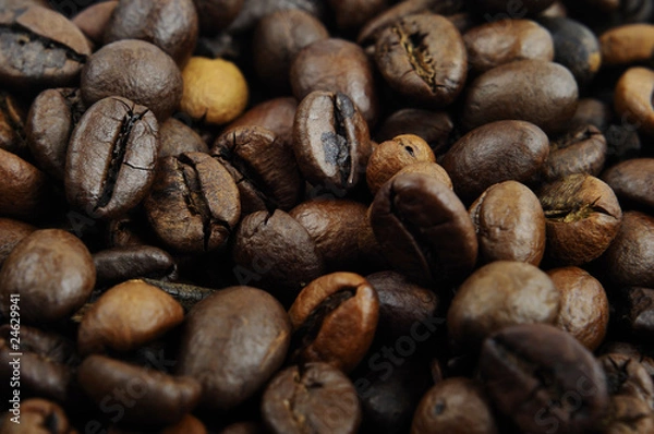 Fototapeta ziarna kawy