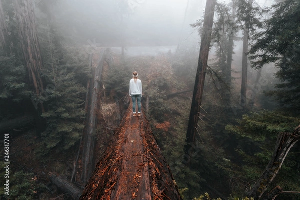 Obraz girl on fallen tree