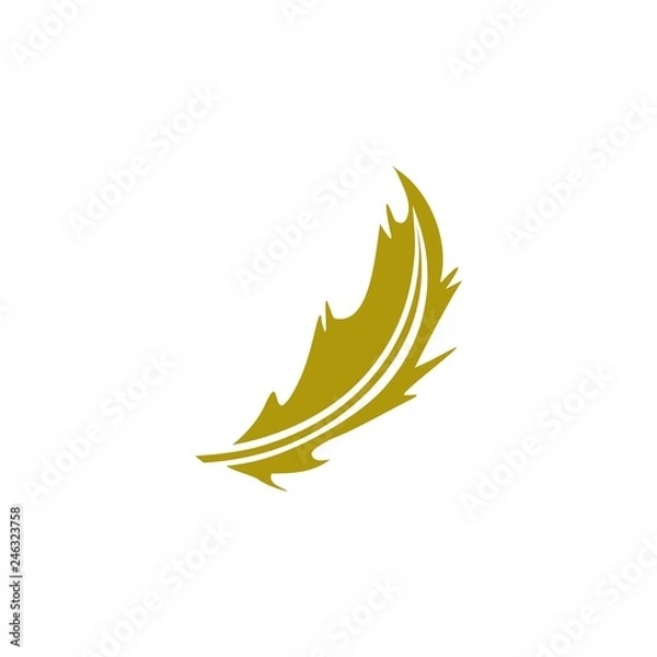 Fototapeta feather logo design vector