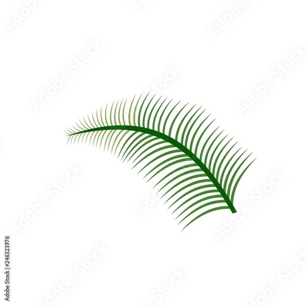 Fototapeta palm leaf logo design vector