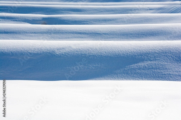 Fototapeta 冬の水田