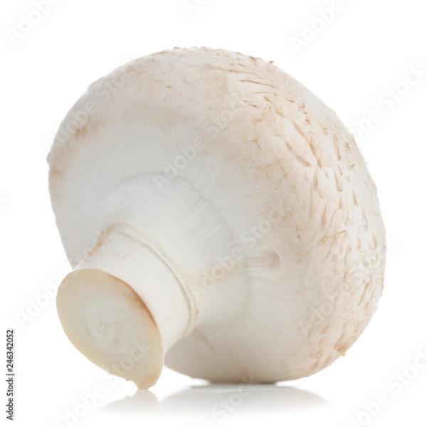 Fototapeta White Button Mushroom (Champignon) Isolated on White Background