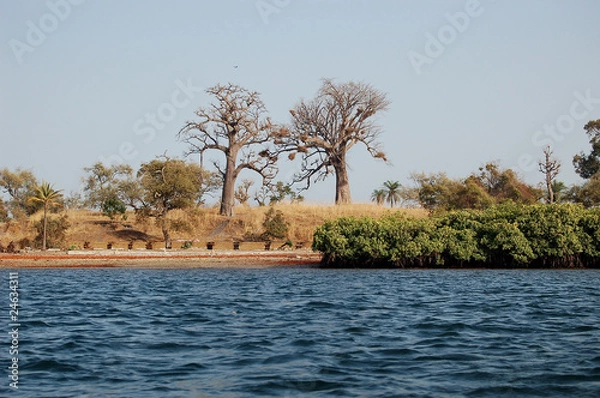 Obraz Sénégal- Fleuve