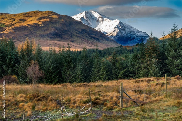 Obraz Ben Lui from Dalrigh
