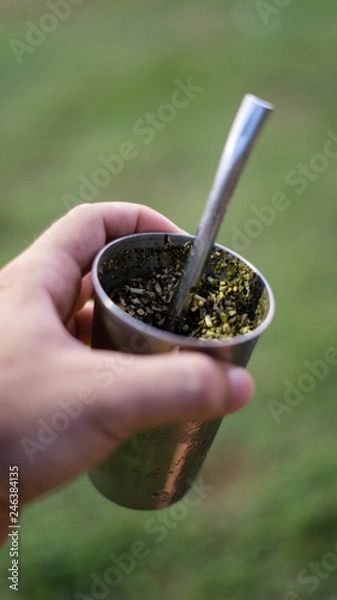 Obraz Terere on hand