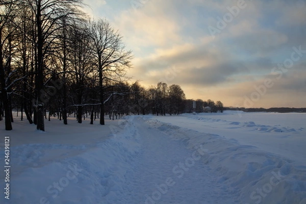 Fototapeta Peterhof, fountains and park in winter