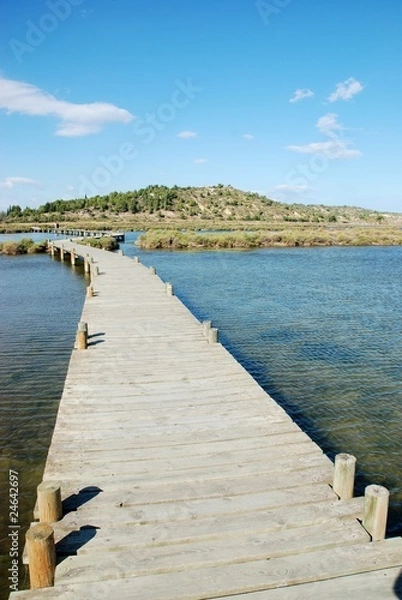 Obraz Passerelle sur l'étang