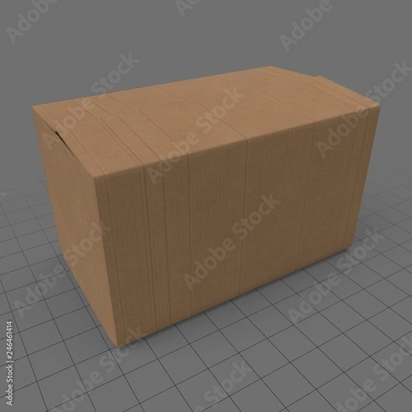 Obraz Cardboard box