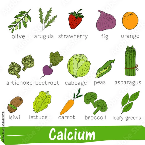 Fototapeta Vegetables and fruits with a high content of Calcium. Hand drawn vitamin set.