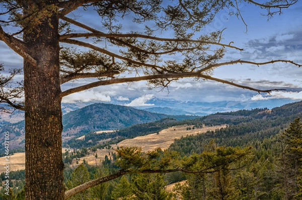 Obraz Yellowstone Landscape