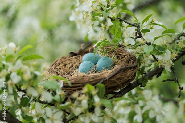 Fototapeta Birds Nest in Spring Blossoms
