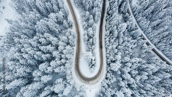Obraz hairpin curve from air with forest 