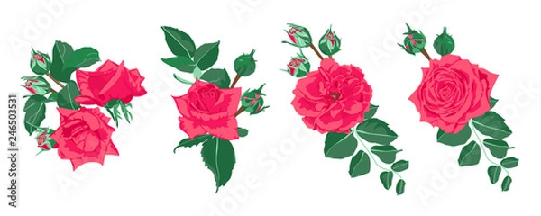 Fototapeta Wedding Card Invite Design, Vector Roses.
