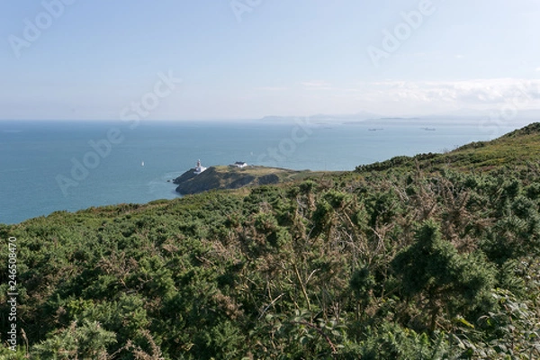 Obraz Walking the Howth Cliff Path Loop