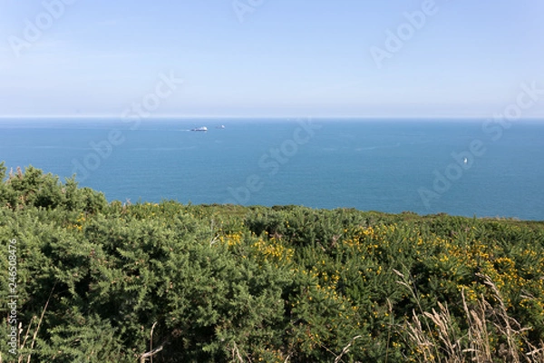 Obraz Walking the Howth Cliff Path Loop