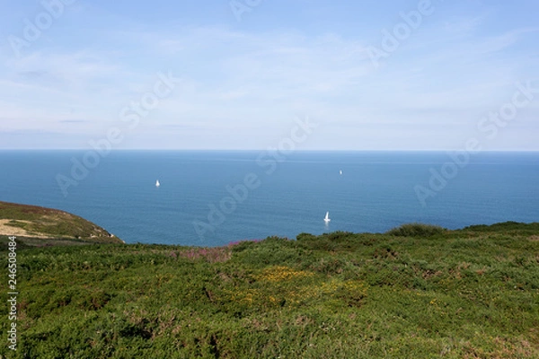 Obraz Walking the Howth Cliff Path Loop