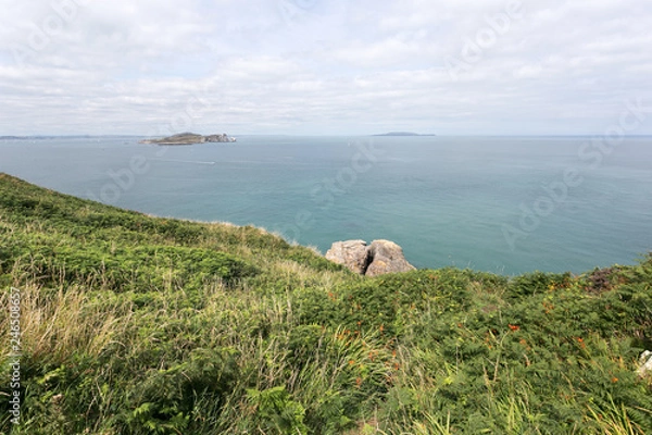 Obraz Walking the Howth Cliff Path Loop