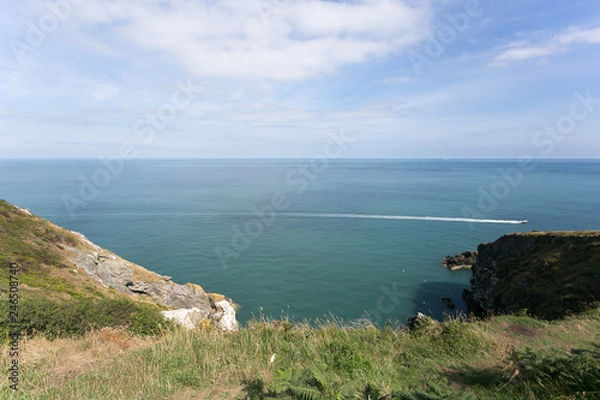Obraz Walking the Howth Cliff Path Loop