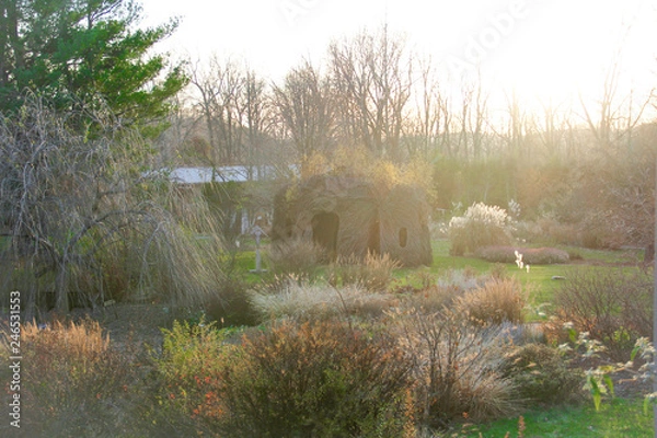 Fototapeta landscape with trees