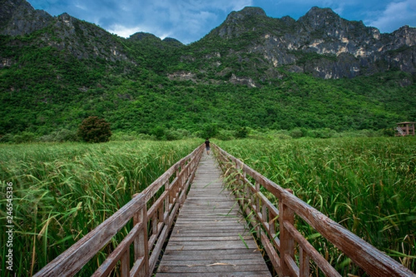 Fototapeta Wallpaper, wooden bridge, mountain side, overlooking the surrounding trees, wind blowing all the time, cool weather, a vacation spot for travelers or viewpoints on the go.