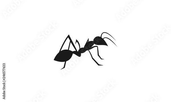 Fototapeta Ant vector