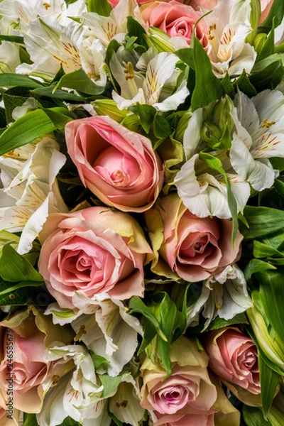Fototapeta Beautiful background made from mixed white and pink flowers.