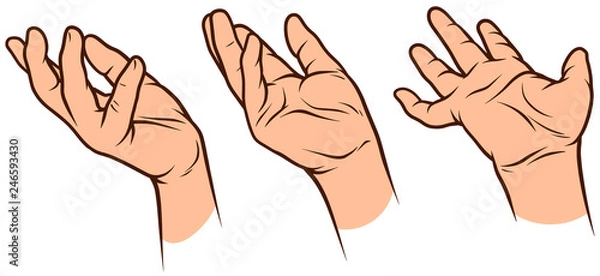 Obraz Cartoon graphic white human hands. Showing empty palm gesture or sign. Isolated on white background. Vector icons set.