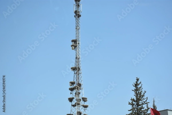 Obraz MAISON CIGOGNE