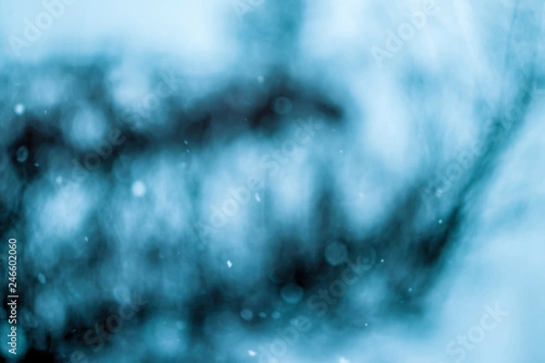 Obraz Background Texture