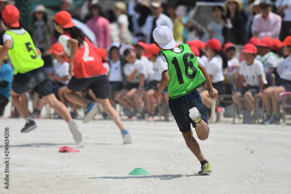 Obraz 小学校の運動会
