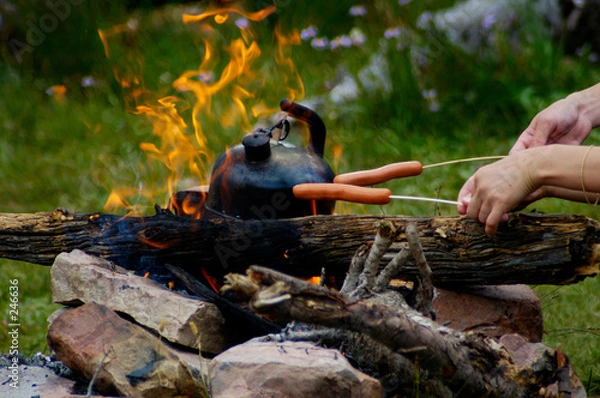 Fototapeta Piknik ogniska