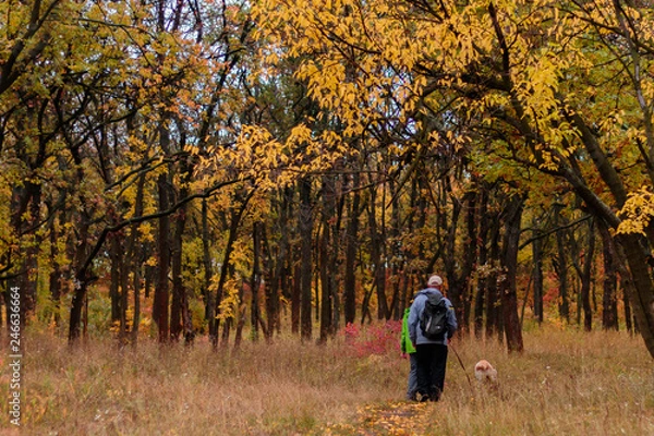 Fototapeta Autumn time