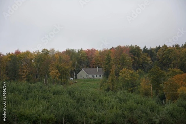 Obraz old barn in the field
