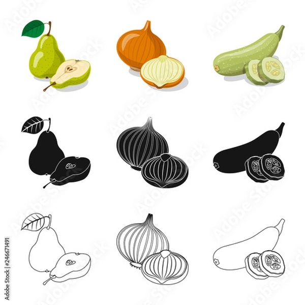 Fototapeta Isolated object of vegetable and fruit symbol. Collection of vegetable and vegetarian stock vector illustration.