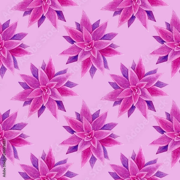 Fototapeta Purple succulents seamless pattern. Watercolor hand drawn painting illustration. High resolution 600 dpi. Isolated on light pink background. Color of background can be easily changed