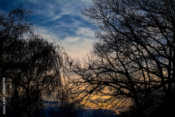 Obraz Winter Sky Tapestry