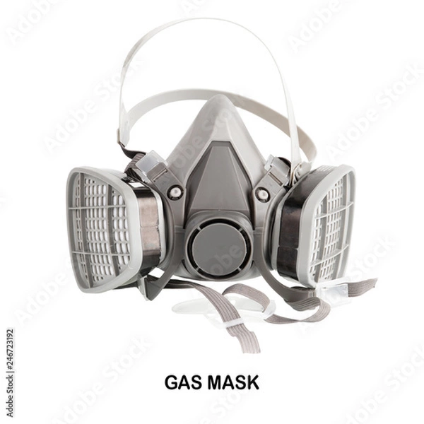 Obraz  Gas Mask isolated on white background.