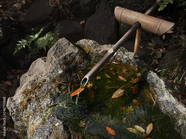 Obraz 神社の湧き水