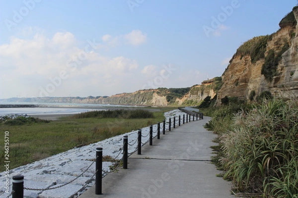 Fototapeta 屛風ヶ浦の遊歩道