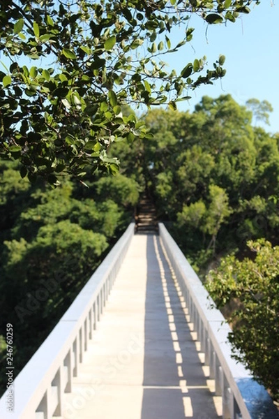Obraz Weg ins Paradies