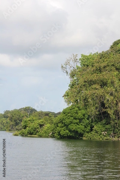 Obraz Gatúnsee - Panama