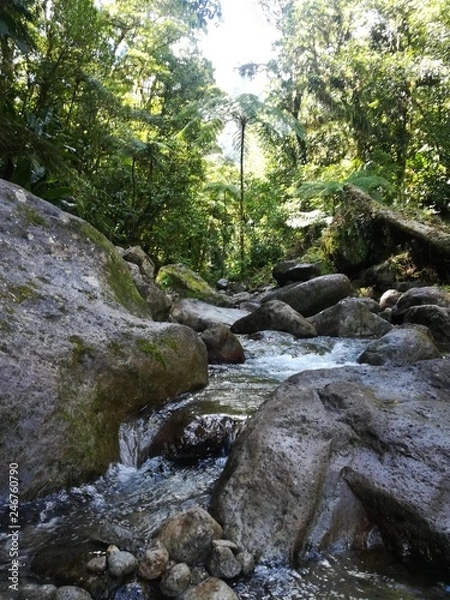 Obraz Quelle Martinique