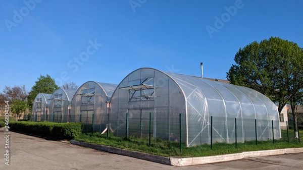 Obraz Polythene tunnel as a plastic greenhouse in an allotment with growing vegetables