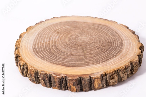 Fototapeta Wooden stump(cut log) isolated. Round cut down tree with annual rings.
