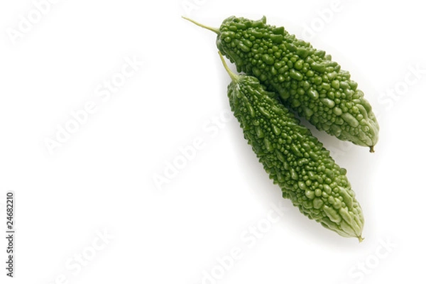 Obraz 日本産のゴーヤ　埼玉県