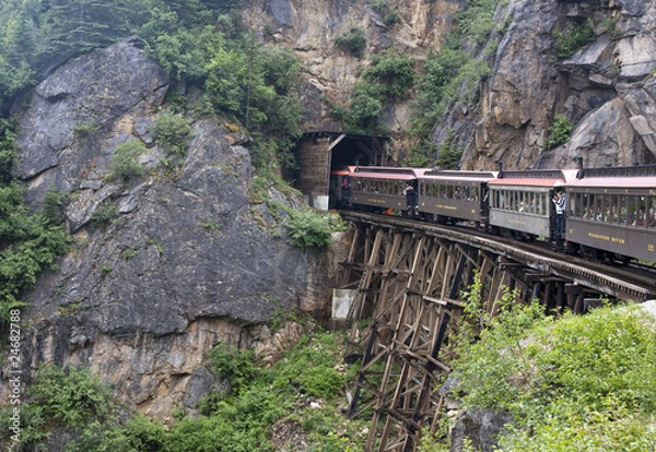 Fototapeta train and tunnel