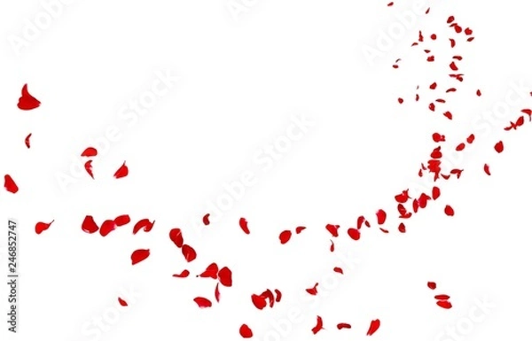 Fototapeta Czerwone płatki róży lecą w oddali