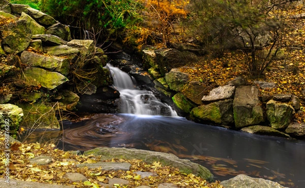 Obraz Waterfall in Central Park